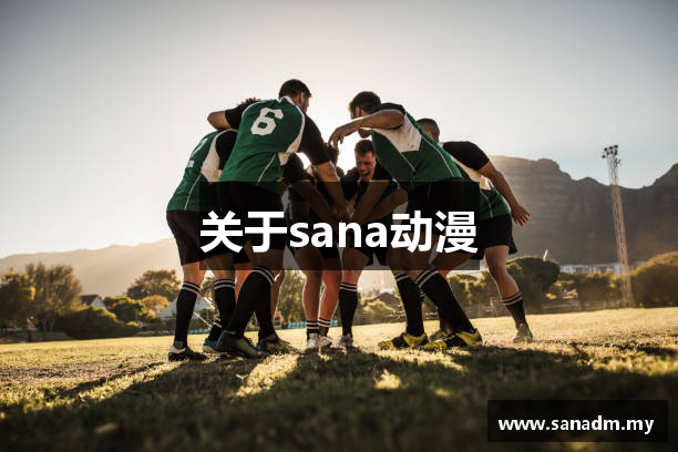 关于sana动漫